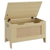 Storage Chest, Toy Chest With Lids, Wood Storage Bench Trunk with Lid, 350lb Weight Capacity for Entryway, Living Room, Bedroom - 2 of 4