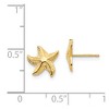 Black Bow Jewelry Kids 9mm 14k Yellow Gold Textured Starfish Post Earrings - 4 of 4