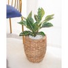 Vintiquewise Round Floor Planter with Metal Pot - 3 of 4