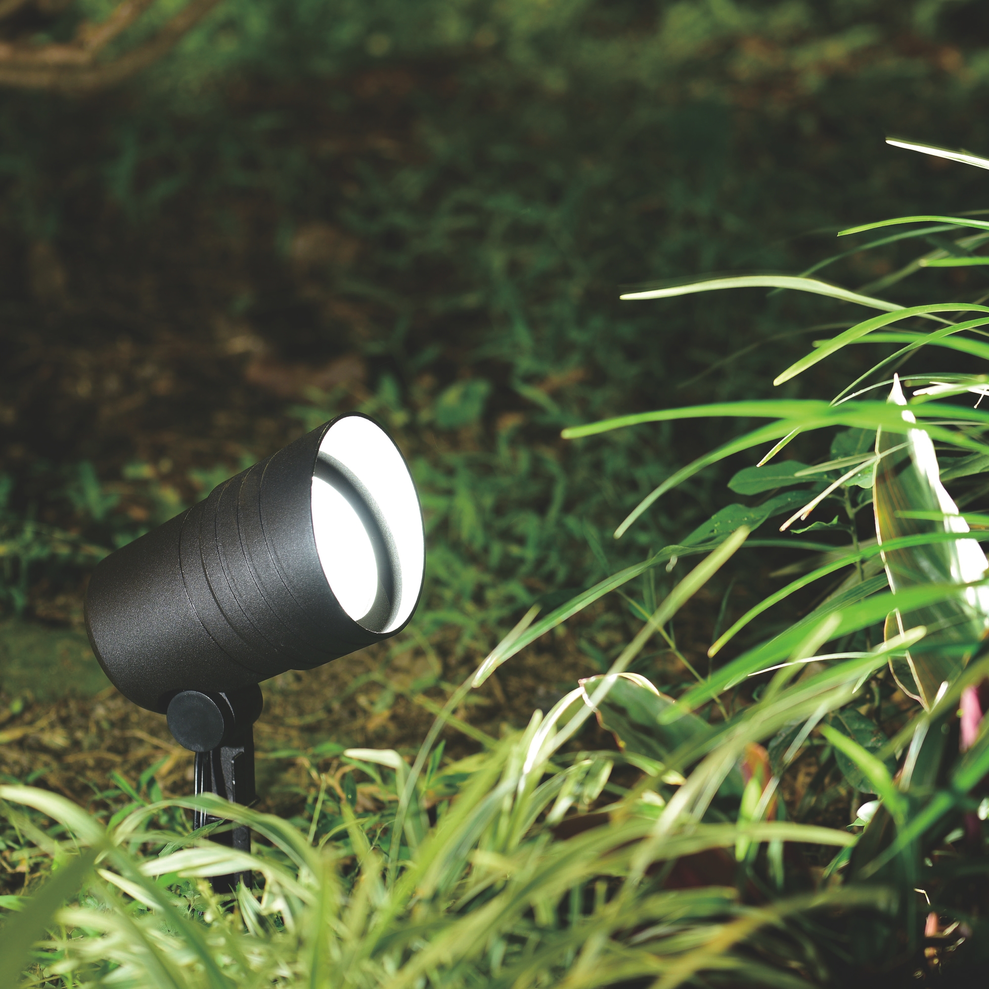 VAXCEL Low-Voltage Aluminum Black Outdoor Landscape Path Flood Light LED Clear Glass