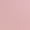 Lilac Purple