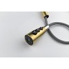 Chery Life Kitchen Faucet with Pull Down Sprayer, Gold - 4 of 4