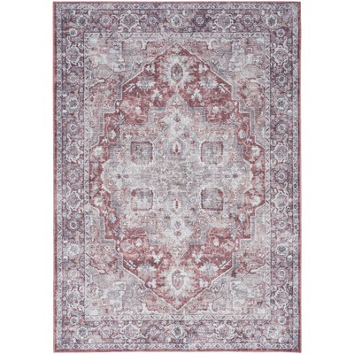 Nourison New Concept Washables Vintage Indoor Area Rug