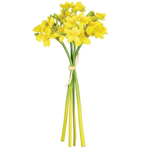 Daffodil Daffodils