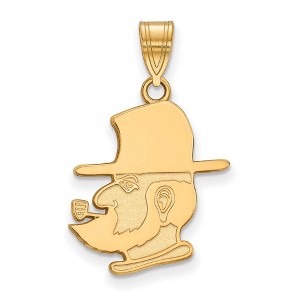 Black Bow Jewelry 14k Yellow Gold Appalachian State Mountaineers NCAA Large Pendant - 1 of 3