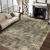 Runner Rug Washable Non-Slip Vintage Area Rug Hallway Bedroom Living Room Kitchen Soft Floor Runner Stain-Resistant Low Pile Laundry Room - 4 of 4