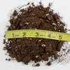 Soil Sunrise 8qt Succulent Potting Soil Mix, Custom Blend - 3 of 4