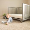 Naturepedic Certified Organic Cotton Breathable Baby Crib & Toddler Mattress–Lightweight-2-Stage - image 2 of 4