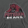 State University of New York at Potsdam Official Distress Primary Adult Pull-Over Hoodie - 2 of 4
