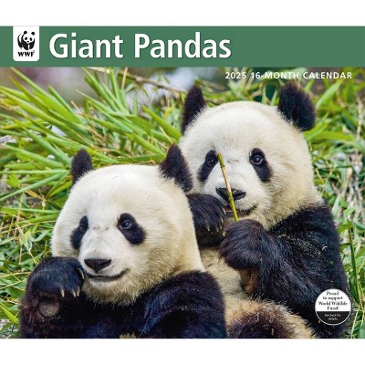 BrownTrout 2025 Wall Calendar 12"x14" Giant Pandas WWF