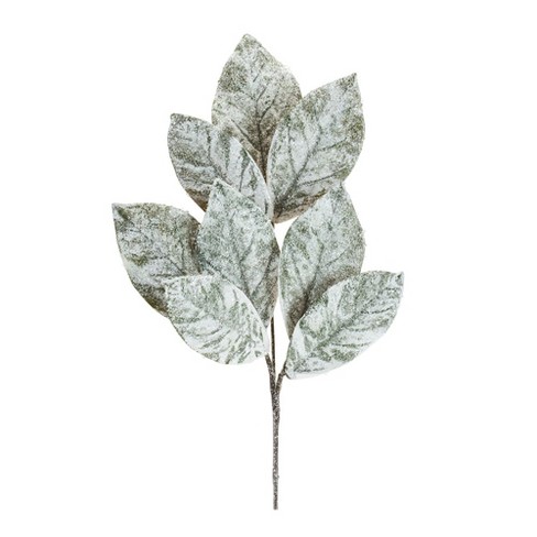 Melrose Frosted Magnolia Leaf Spray (Set of 6) - image 1 of 3