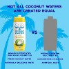 C2O - Coconut Water With Pineapple (6 Pack) - Made With Fresh Coconut Water - 33.8 Fl Oz Pineapple 33.8 Fl Oz (Pack of 6) - 2 of 4