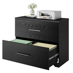 2 Drawer Wood Lateral File Cabinet with Anti-tilt Mechanism, Storage Filing Cabinet for Home Office, Black - 1 of 1