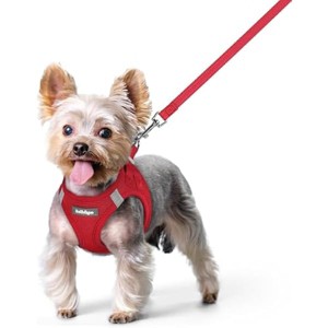 rabbitgoo Dog Harness Small Sized and Leash Set, Step in Soft Light Puppy Pet Harness, Reflective for Safe Easy Walking, Red XS - 1 of 1