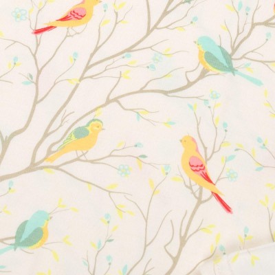 birds