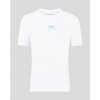Castore Alpine Racing F1 Franco Colapinto Relaxed Fit T-Shirt - 4 of 4