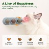 Potaroma 4 Catnip Silvervine Ball Toys, Extra Cat Energy Ball - 3 of 3