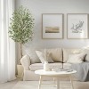 Whizmax Tall Faux Olive Tree, Realistic Tall Silk Olive Trees with Branches,Fruits and Dried Moss,for Modern Home Office Living Room Decor Indoor - 4 of 4