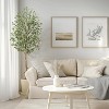 Whizmax Tall Faux Olive Tree, Realistic Tall Silk Olive Trees with Branches,Fruits and Dried Moss,for Modern Home Office Living Room Decor Indoor - image 4 of 4