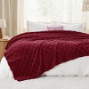 Bedsure | Cute Soft Cozy Checkered Throw Blanket for Couch - 2 of 4