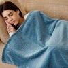 Aoibox Extra Large Fleece Throw Blanket, Super Soft & Warm Waffle Textured Cozy Fuzzy Lightweight for Couch Sofa Bed in Slate Blue - 2 of 4