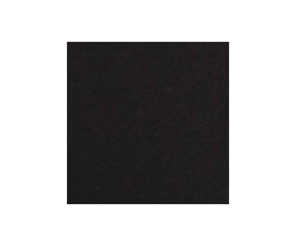 Pride Adult Panda Flag Gender Inclusive Tank Top - Black XS