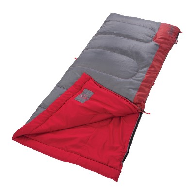 Target coleman sleeping clearance bag