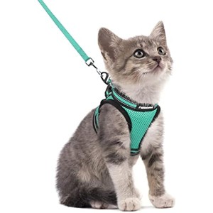 rabbitgoo Cat Harness and Leash Set for Walking Escape Proof, Adjustable Soft Kittens Vest with Outdoor Vest,Green,S - 1 of 1