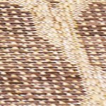 brown/cream