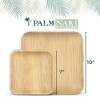 Palm Naki Small Square Palm Leaf Plates (40 Count) - Eco-Friendly, Compostable - 2 of 4
