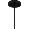 Quoizel Lighting Cedar Park 4 - Light Pendant in  Matte Black - 3 of 4