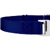 Country Brook Petz Heavyduty Nylon Martingale with Premium Buckle - 4 of 4