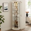Lighted Corner Curio Cabinet, Display Cabinet with Shelves, Tempered Glass Door Corner China Cabinet for Living or Dining Room - Koiai - 2 of 4