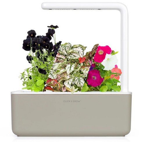 Click Grow Indoor Vibrant Flower Gardening Kit Smart Garden 3