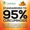 Turmeric Curcumin Supplement 2000mg with Glucosamine Chondroitin & Ginger, 95% Curcuminoids, BioPerine Black Pepper for Best Absorption - 180 Capsules - 4 of 4