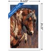Trends International Laurie Prindle - War Pony Framed Wall Poster Prints - 3 of 4