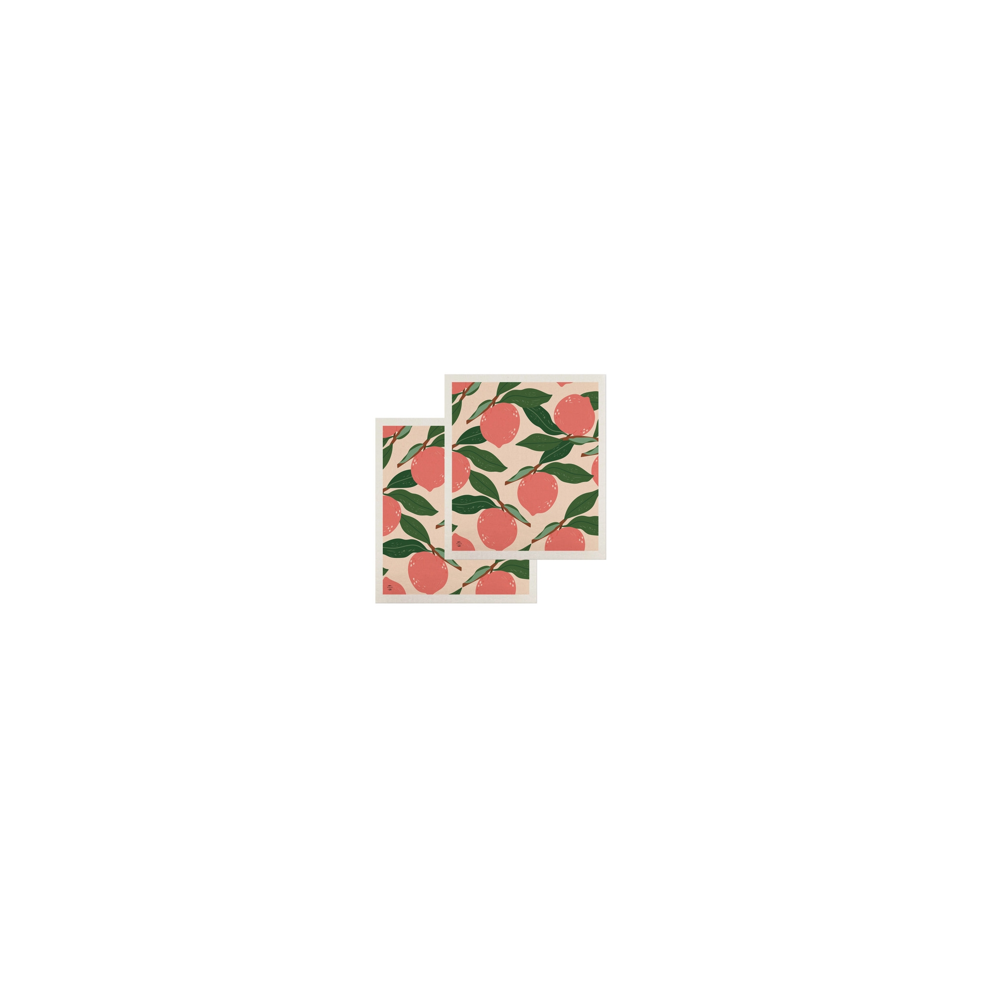 Briarwood Lane Pink Citrus Swedish Dishcloth (2-pack)