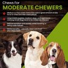 Sancho & Lola's Bully Sticks for Dogs 6-Inch Standard (5 Count) Dog Chews - 4 of 4