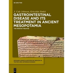 Gastrointestinal Disease and Its Treatment in Ancient Mesopotamia - by  J Cale Johnson & Krisztián Simkó (Hardcover) - 1 of 1