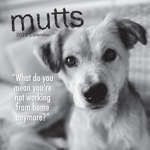 2023 Square Wall Calendar, Mutts, 16-month Humor Theme With 180