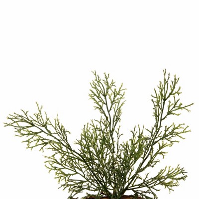 Festive Cedar Charm 24" Artificial Christmas Wreath