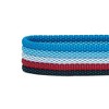 Blueberry Pet Stripe Adjustable Dog Collar - 3 of 4