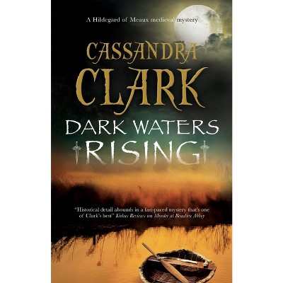 Dark Waters Rising - (Hildegard of Meaux Medieval Mystery) by  Cassandra Clark (Paperback)