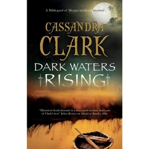 Dark Waters Rising - (Hildegard of Meaux Medieval Mystery) by  Cassandra Clark (Paperback) - 1 of 1