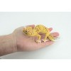 Collectible Wildlife Gifts | Leopard Gecko, Museum Quality, Hand Painted, Rubber Lizard,  Reptile, Diorama, Toy,  Gift, 7 Inches.  CH786 BB185 - 2 of 4