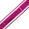 Unique Bargains Metallic-Edged Voile Pull Ribbon PP 30.31"x1.97" 10 Pcs - 4 of 4