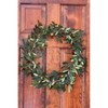 20" Artificial Olive Wreath - Nearly Natural - image 2 of 4