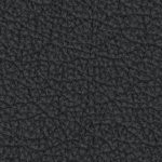 columbus blue jackets