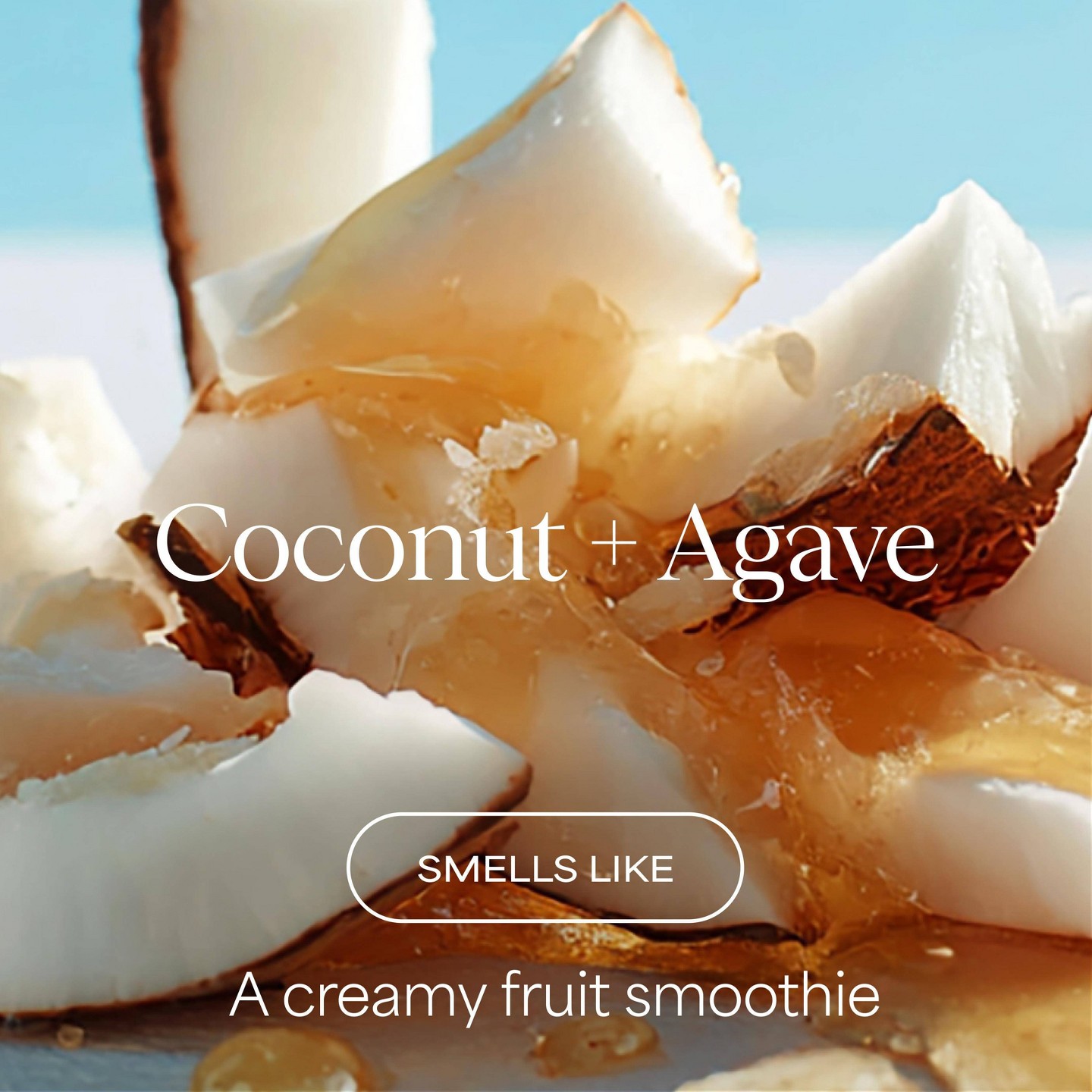Шампунь Raw Sugar The Moisture Smoothie, Coconut + Agave, 16 fl oz — фото 2