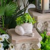 NAYSAYE Planter Decorative Sand and Cement Snail Planter with Textured Beige Finish for Indoor Outdoor Garden, Beige, 9.5"*8.3"*6" - 2 of 4